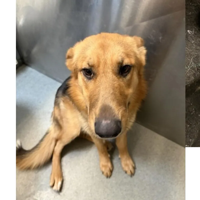 Fwt Doris thumbnail 2