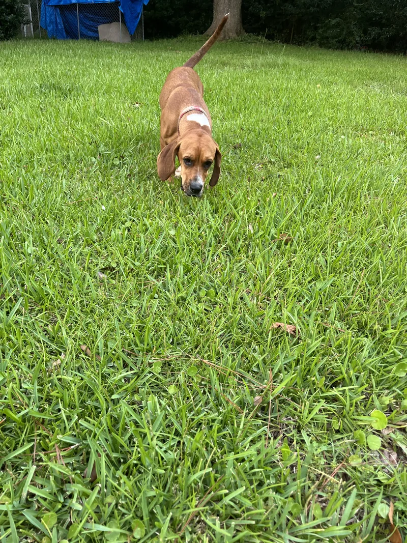 Lucy