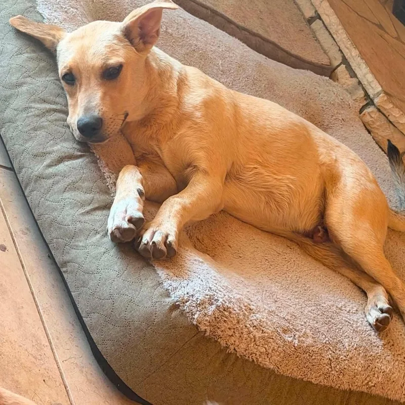 Walter
