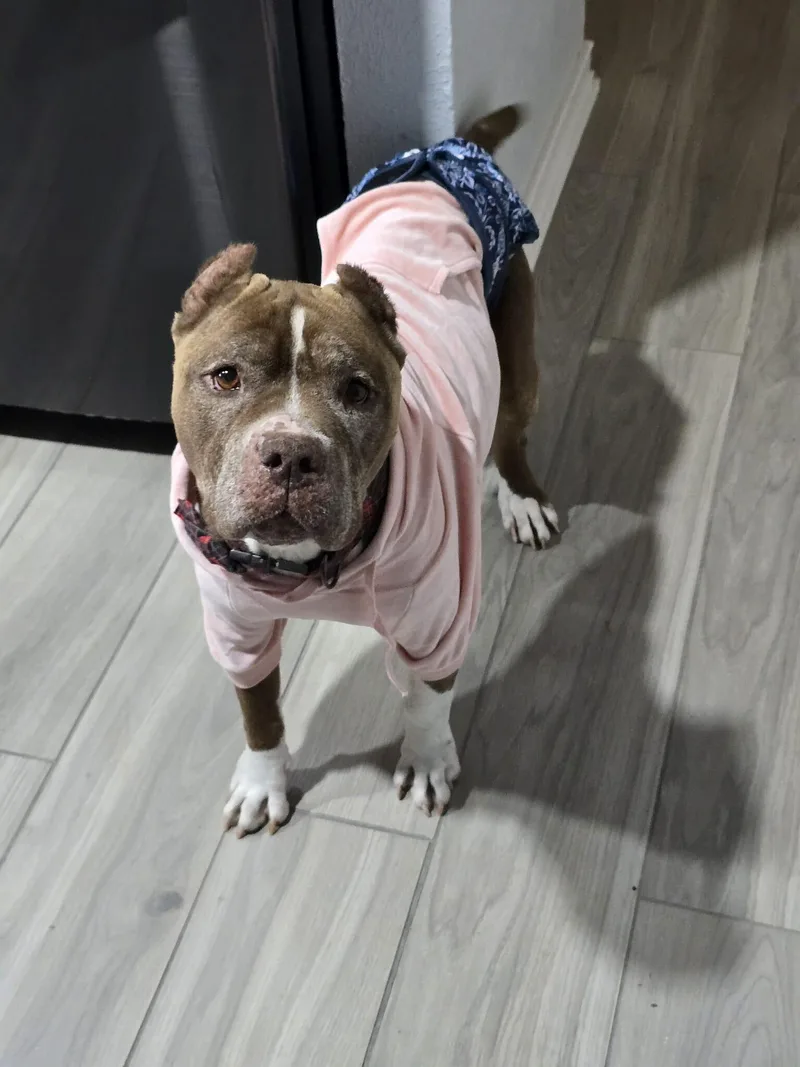 Mary Jane thumbnail 3