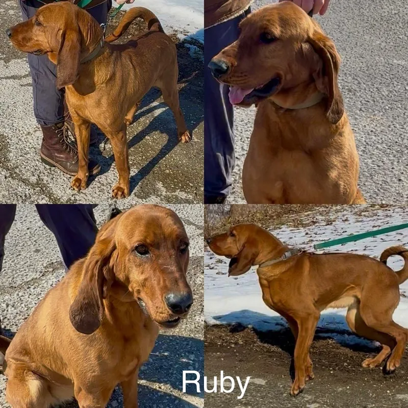 Ruby