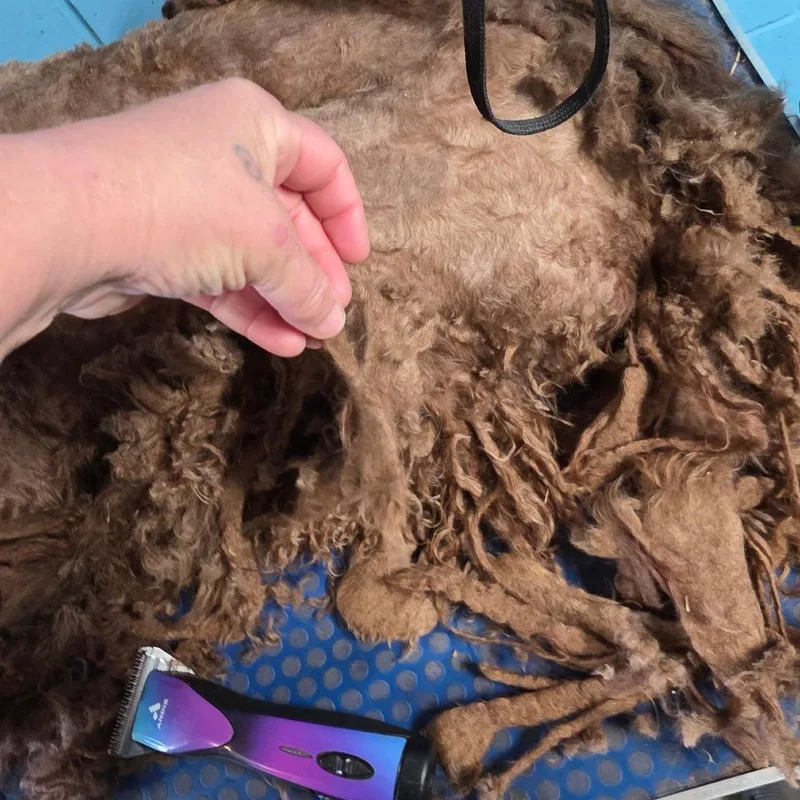 Richie Rich thumbnail 5