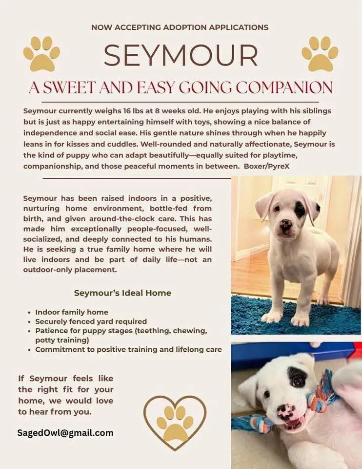 Seymour