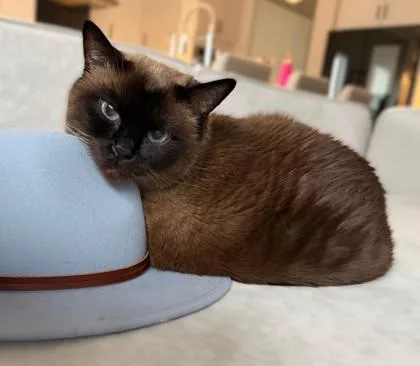 Kiki