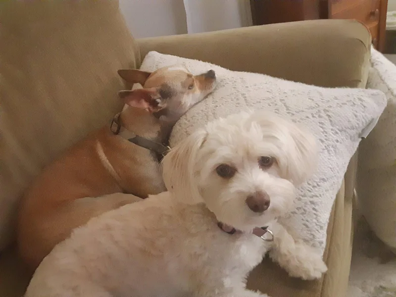 Buffy and Tina thumbnail 2