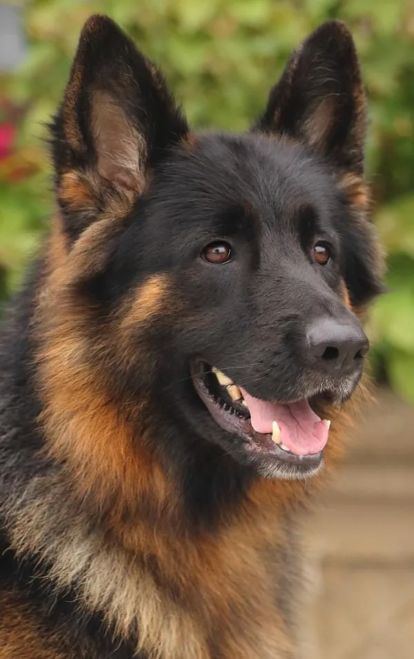 Lila Von Langerfeld thumbnail 3