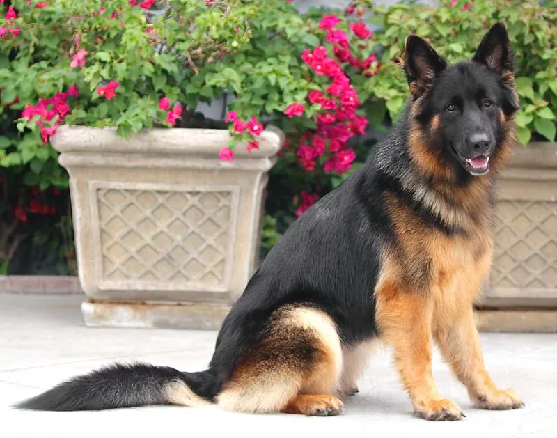 Lila Von Langerfeld thumbnail 4