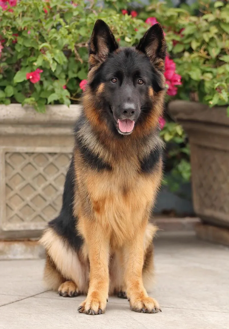 Lila Von Langerfeld thumbnail 5