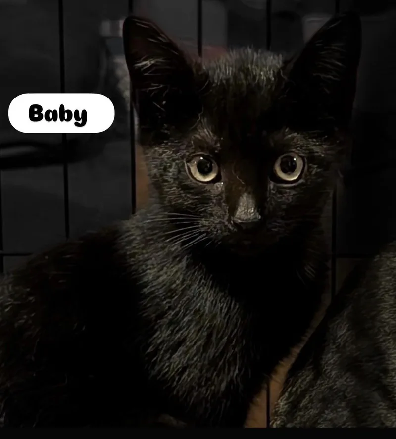 Tigger And Baby thumbnail 2