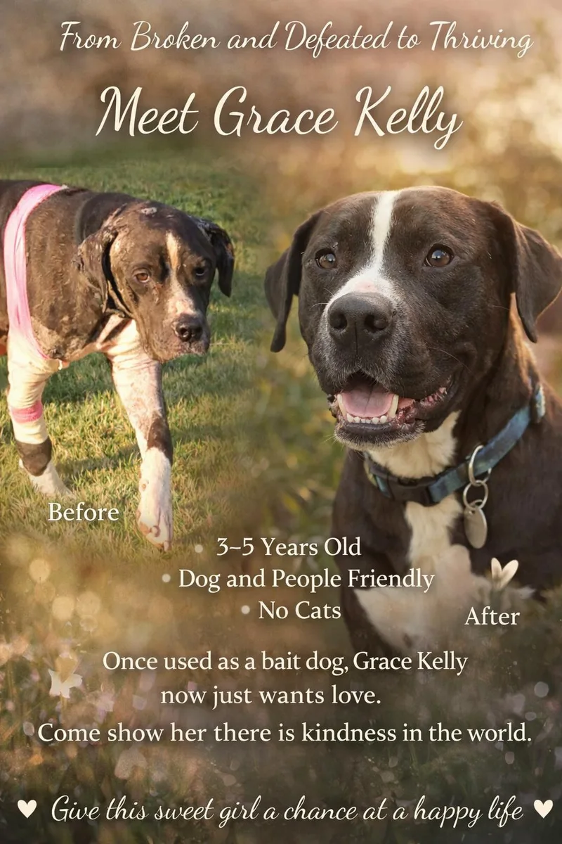 Grace Kelly thumbnail 2