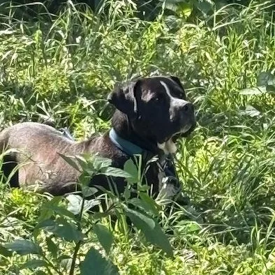 Grace Kelly thumbnail 4