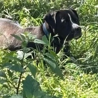 Grace Kelly thumbnail 5