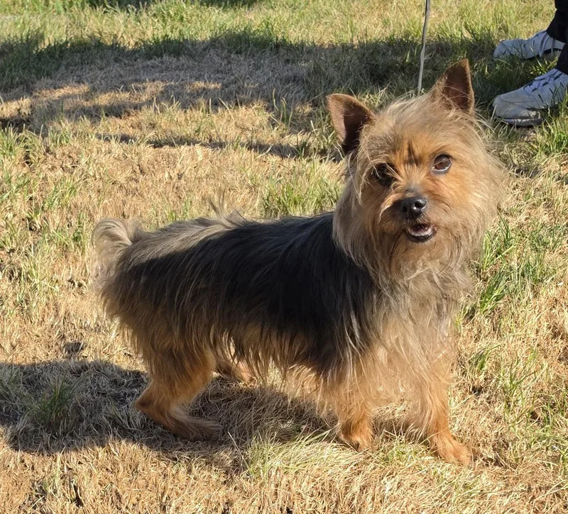 Chloe