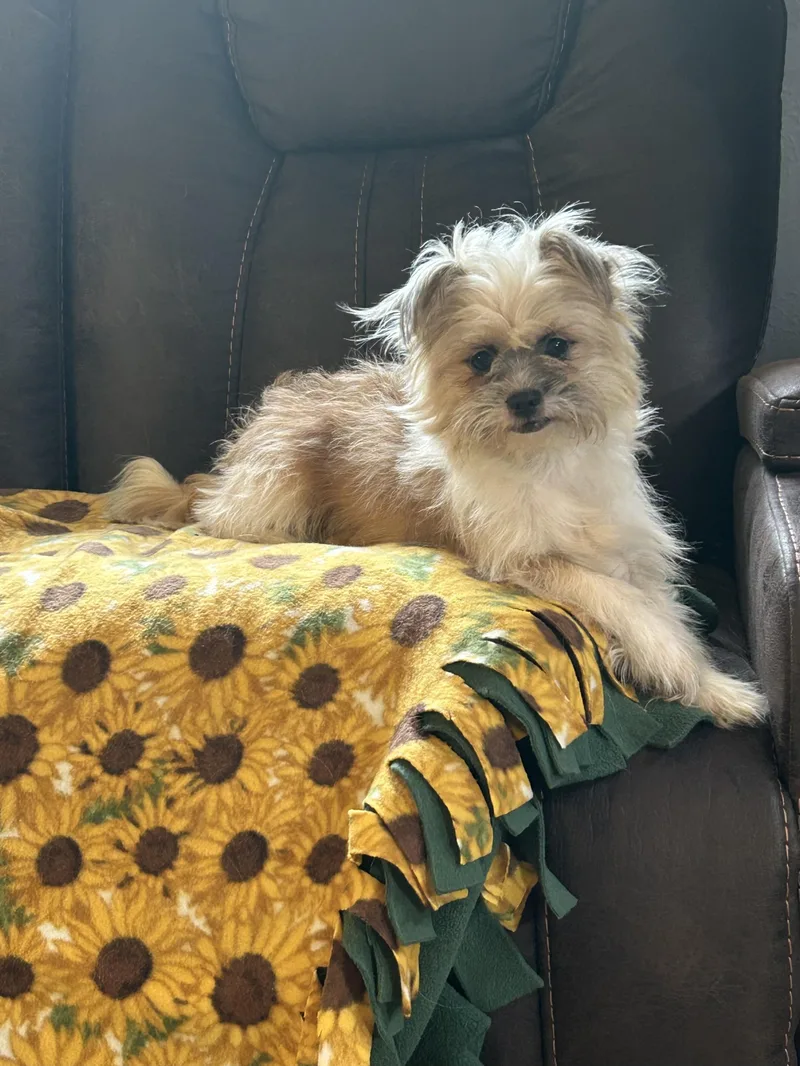 Macy