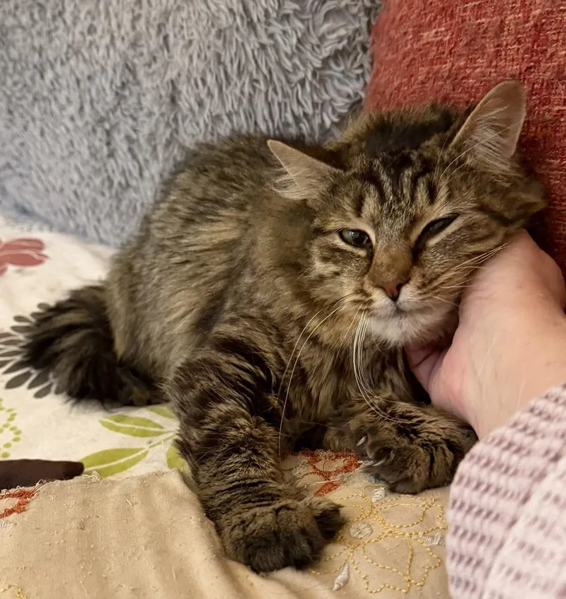 Schitt's Creek:  Ronnie thumbnail 2