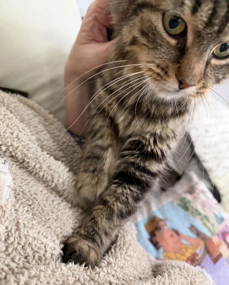 Schitt's Creek:  Ronnie thumbnail 3