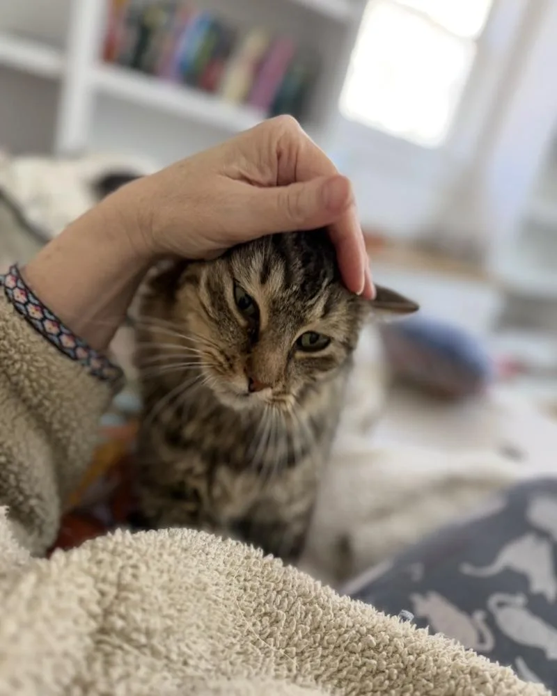 Schitt's Creek:  Ronnie thumbnail 6