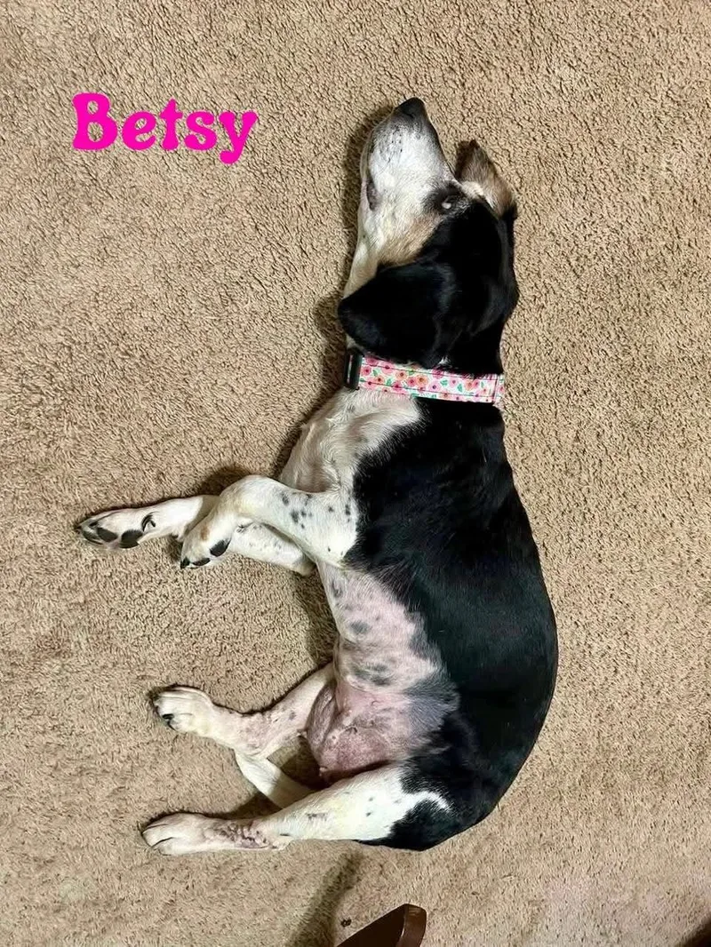 Betsy thumbnail 2