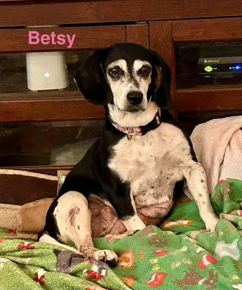 Betsy thumbnail 4