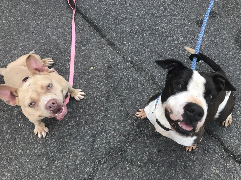 Charlotte  Personality Plus! thumbnail 2