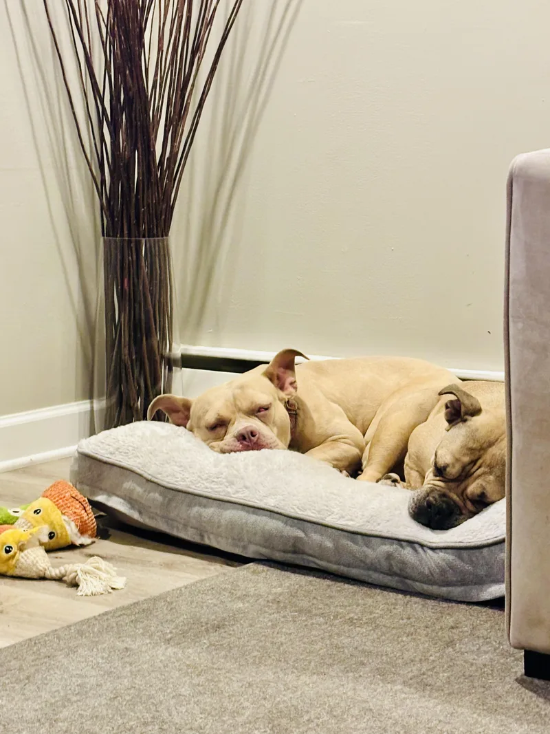 Charlotte  Personality Plus! thumbnail 3