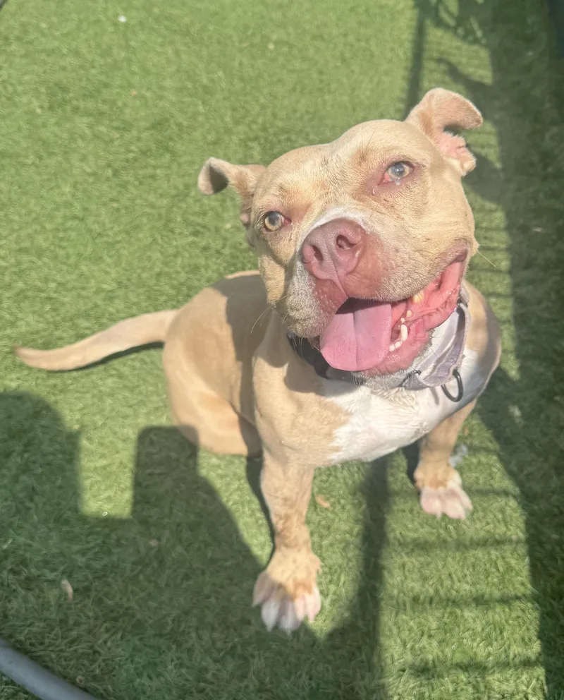 Charlotte  Personality Plus!