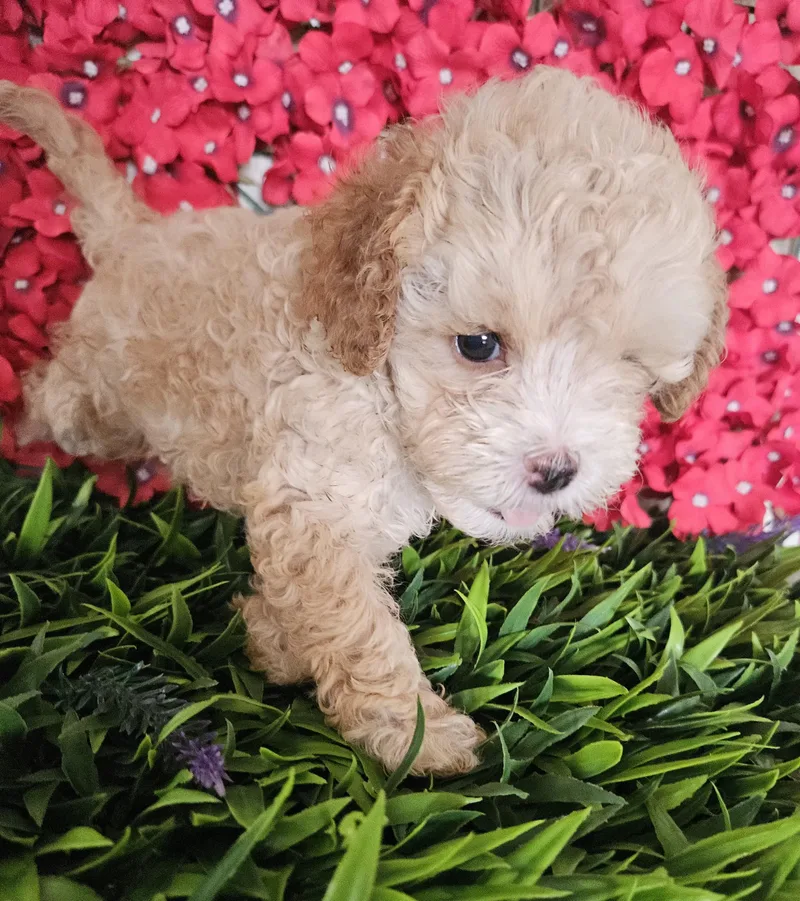 Mattew thumbnail 3