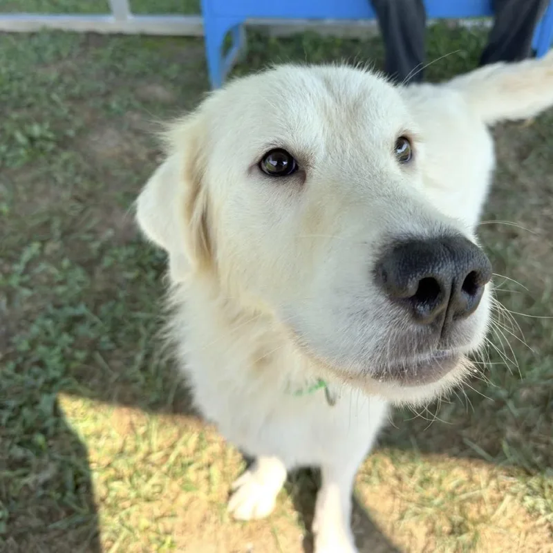Ellie thumbnail 3
