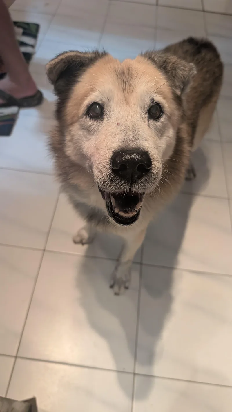 Zeus  Goofy Boy! thumbnail 2