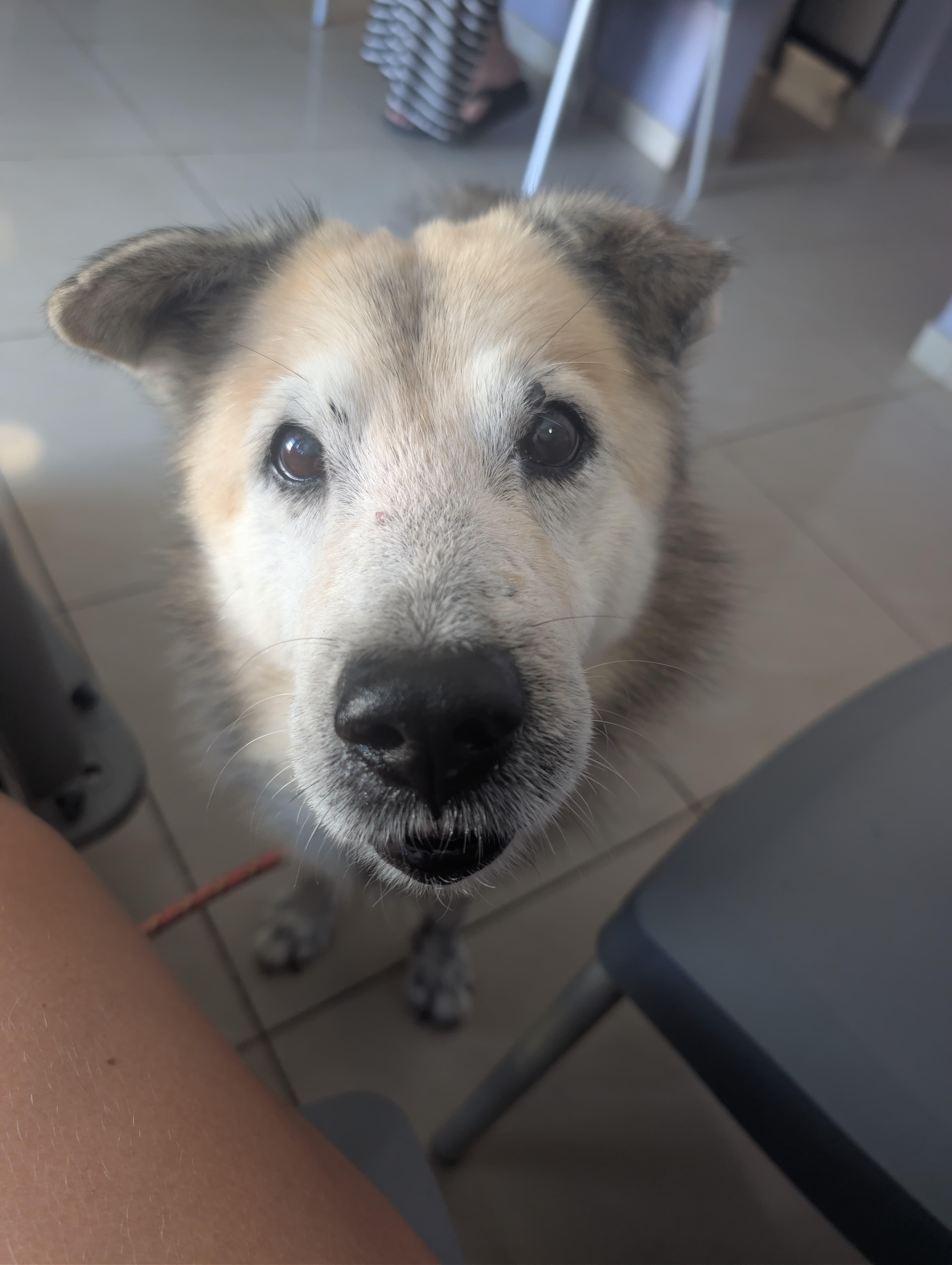 Zeus  Goofy Boy! thumbnail 3