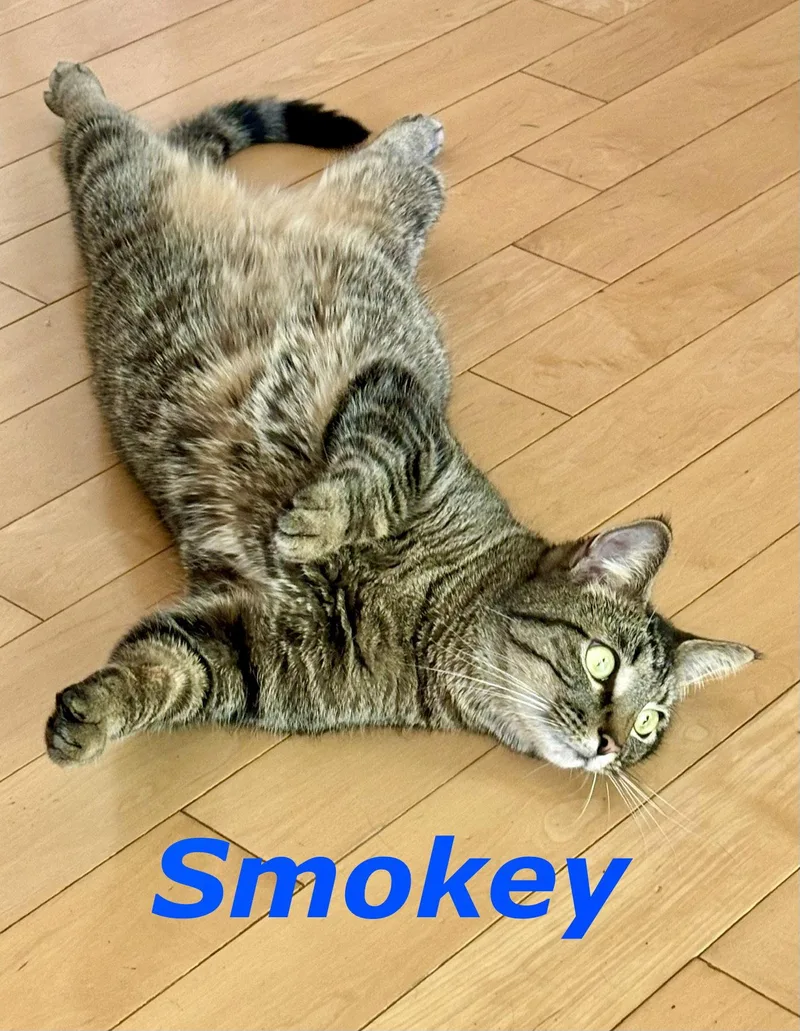 Smokey thumbnail 2