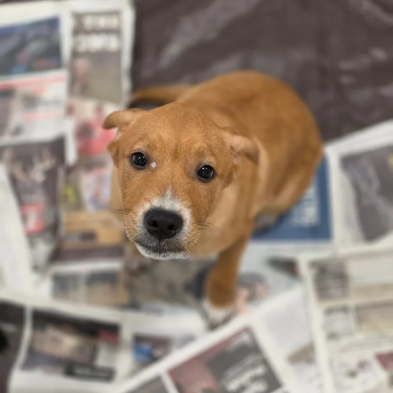 Charlie RW thumbnail 5