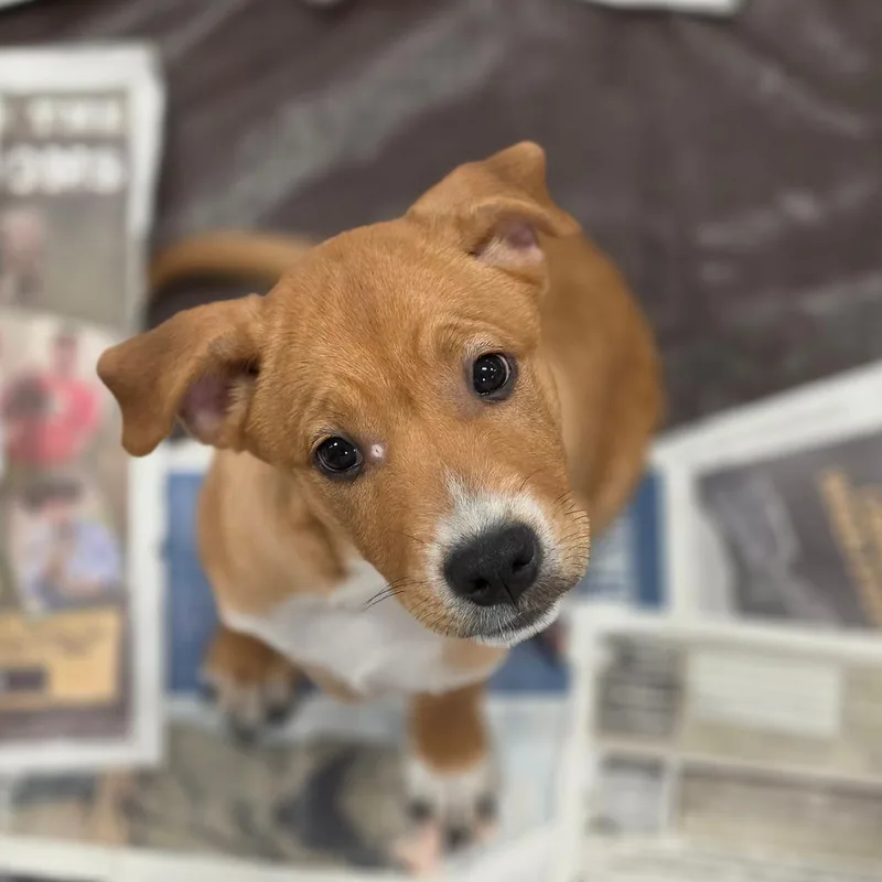 Charlie RW thumbnail 6