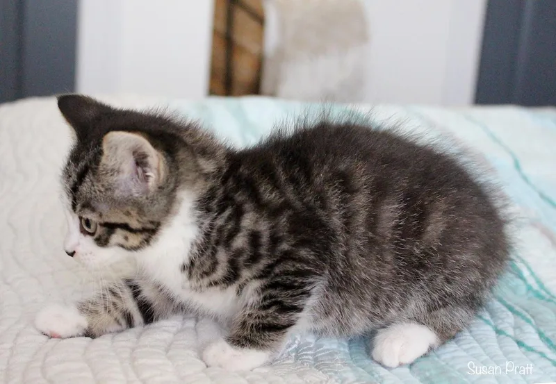 Ginny thumbnail 2