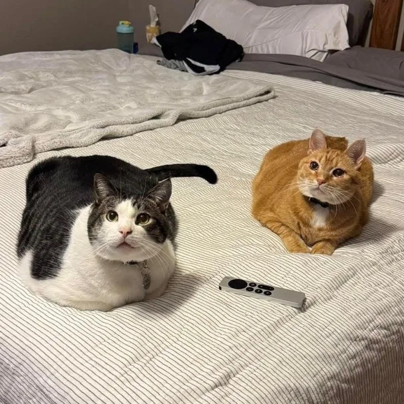 Ralphie & Buddy thumbnail 3