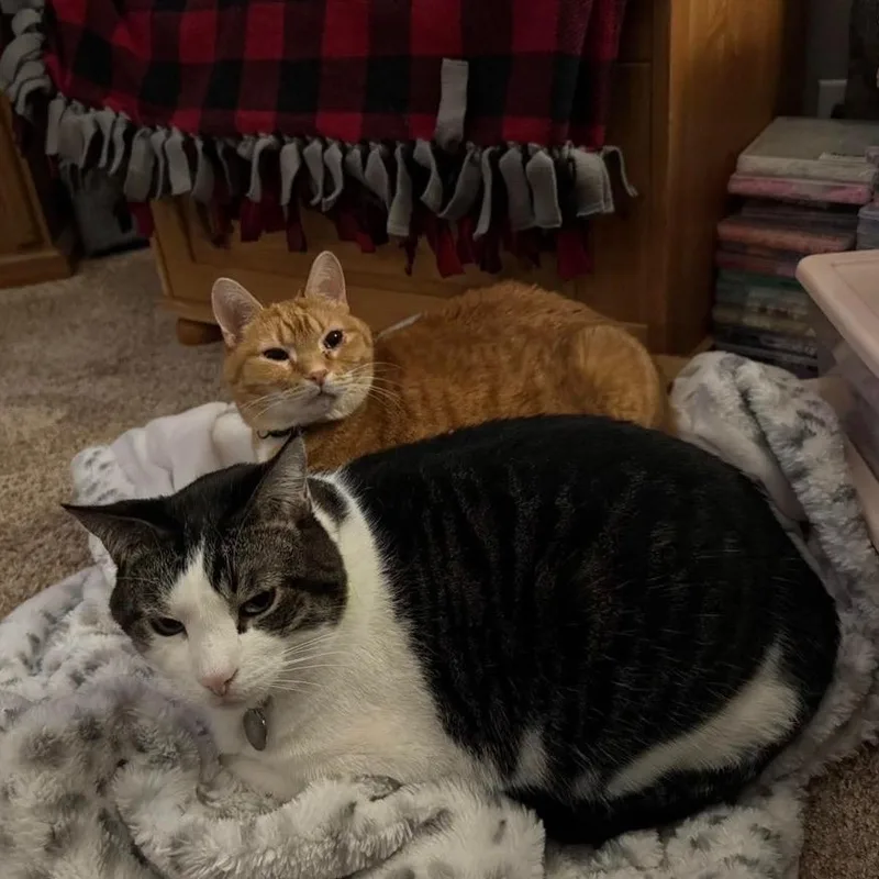 Ralphie & Buddy thumbnail 4