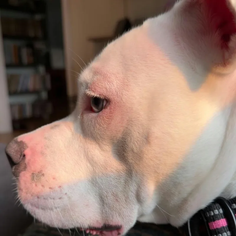 Maggie thumbnail 5