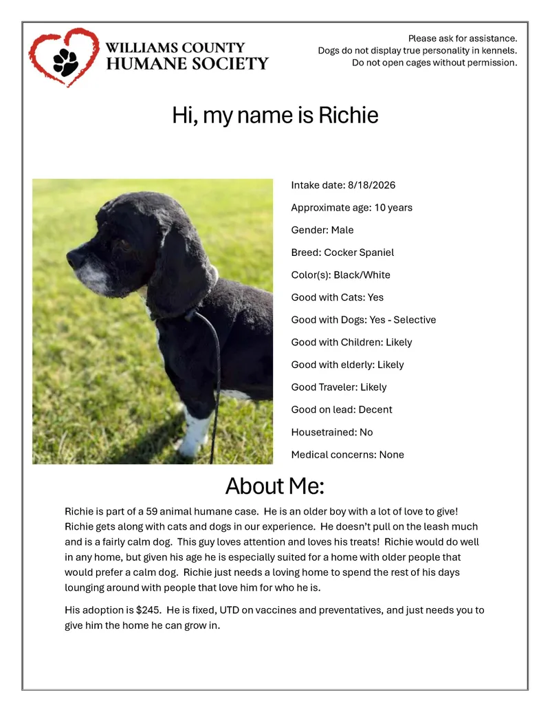 Richie thumbnail 2