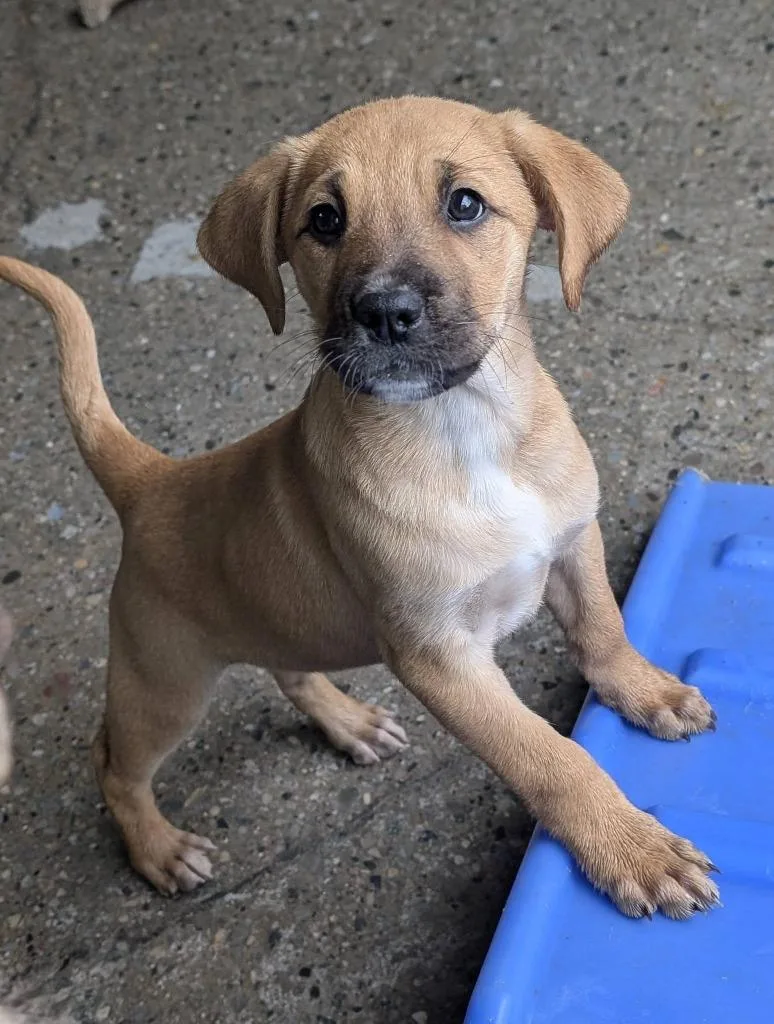 Betty Crocker thumbnail 3