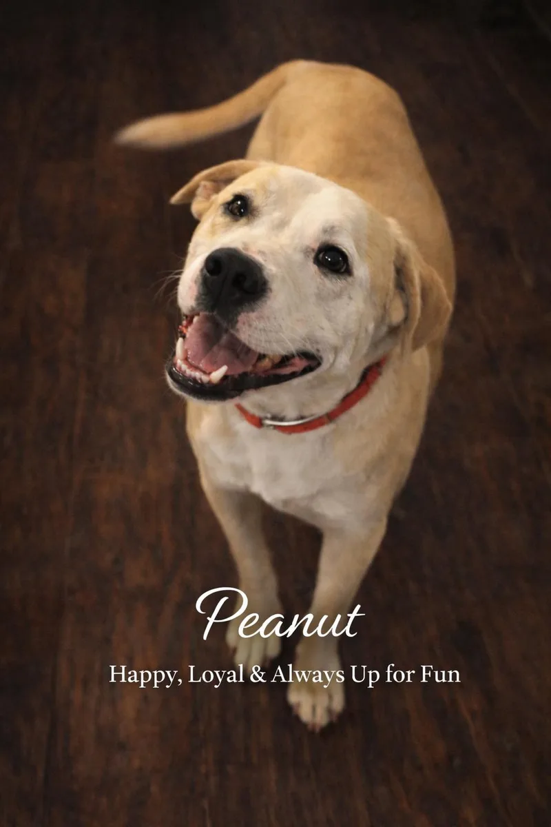 Peanut Butter aka Peter thumbnail 2