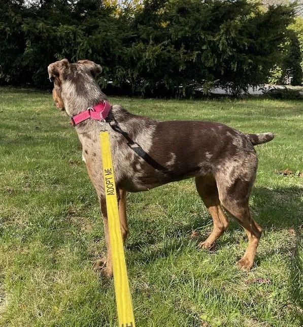 Gwen  Ri thumbnail 2