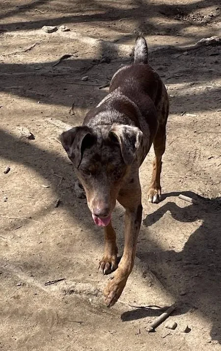 Gwen  Ri thumbnail 3