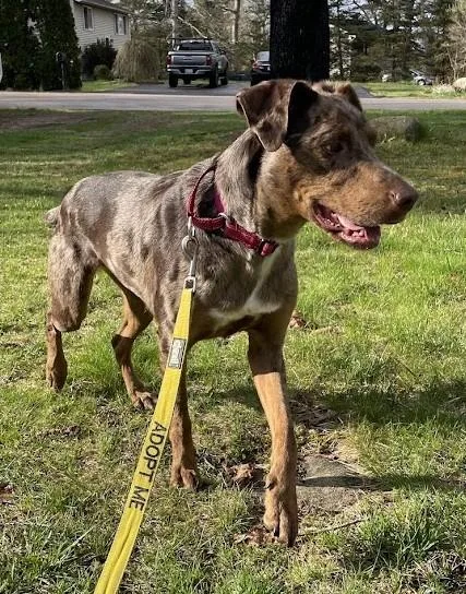 Gwen  Ri thumbnail 4