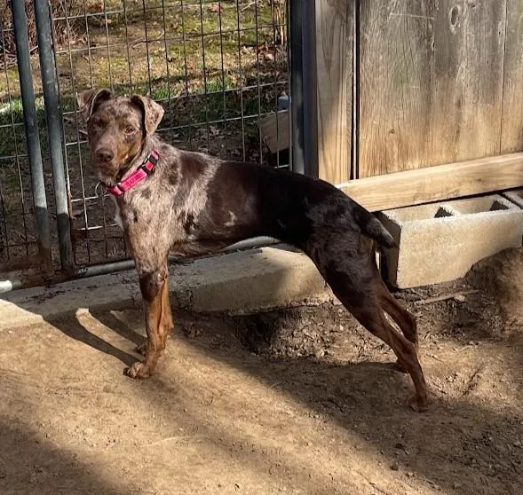 Gwen  Ri thumbnail 5