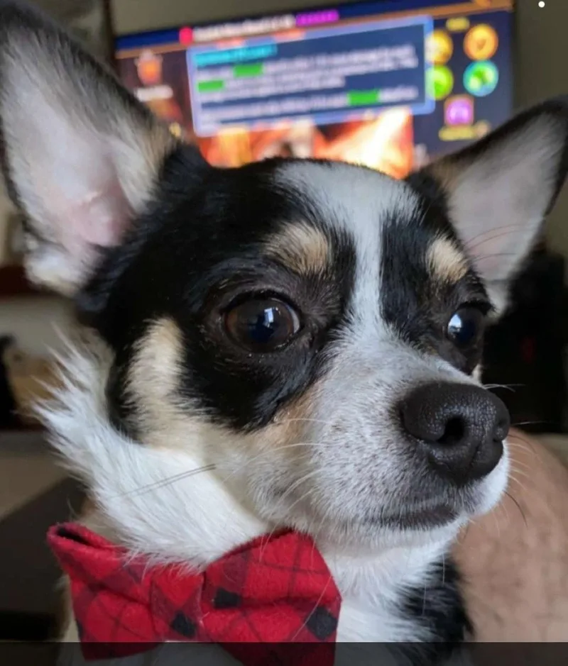 Marvin thumbnail 3