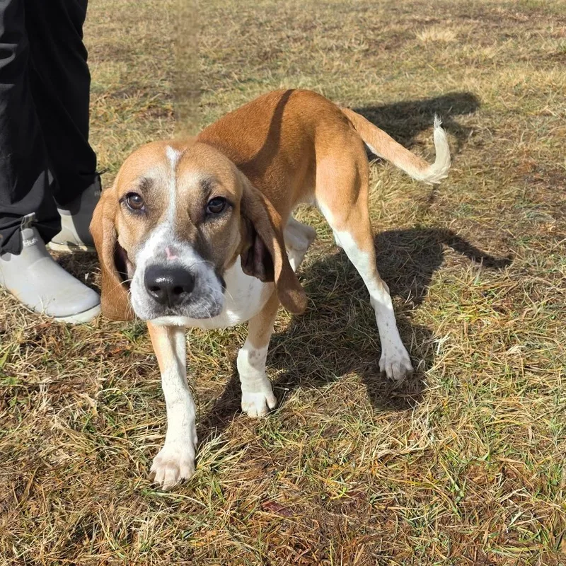 Quicksilver thumbnail 2