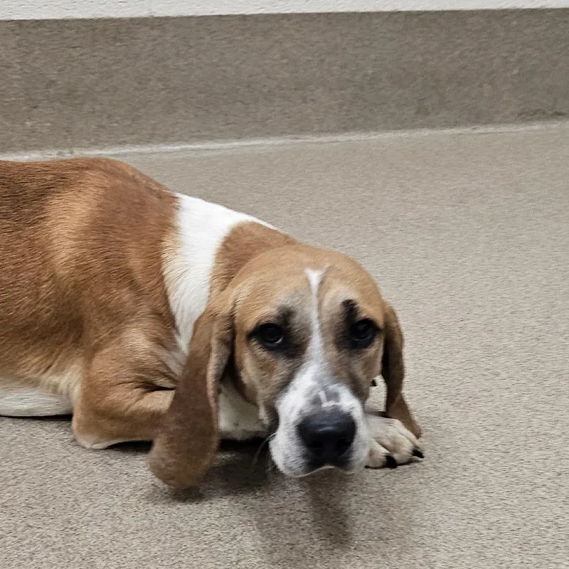 Quicksilver thumbnail 4