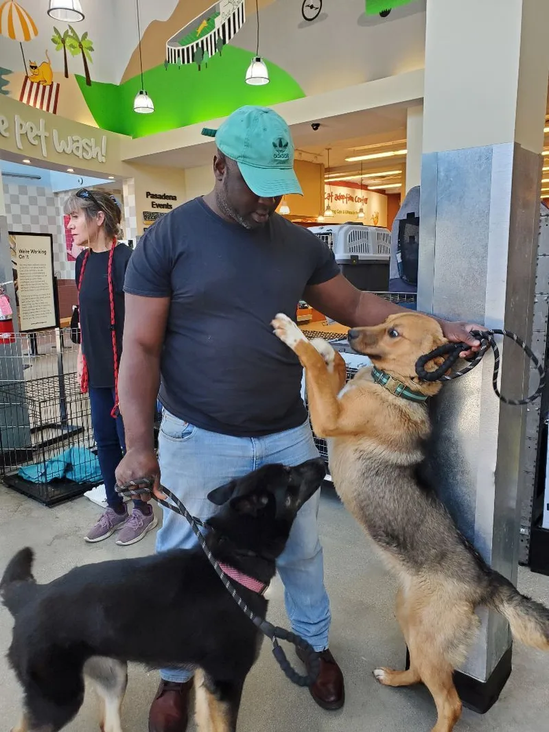 My Fair Lady German thumbnail 2