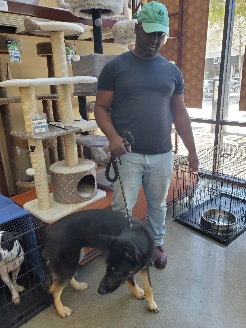 My Fair Lady German thumbnail 3