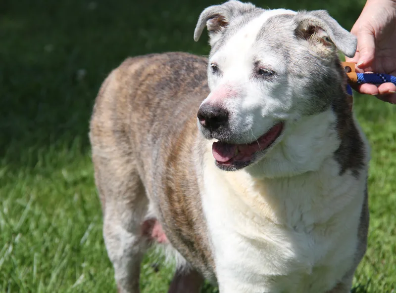 Maggie thumbnail 6